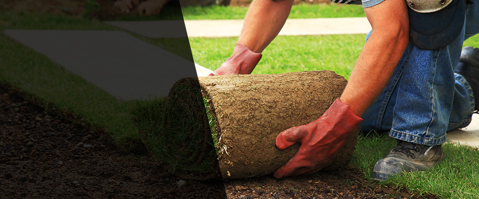 Moscow Mills Landscapers